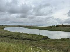 Conyer Creek, just north of Conyer